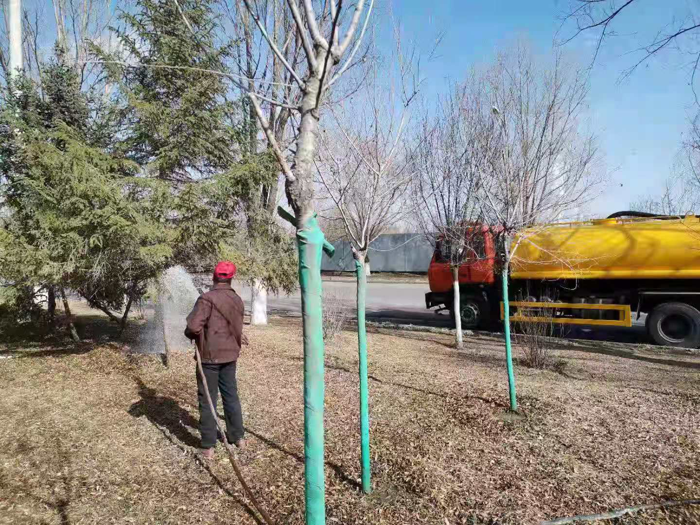 泓源绿化公司多措并举做好春季绿化养护(图2) 泓源绿化公司多措并举做好春季绿化养护(图2)